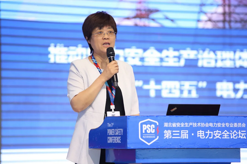 1623726732812064869.png 6 国家能源局电力安全监管司副司长阎秀文发表重要讲话.png