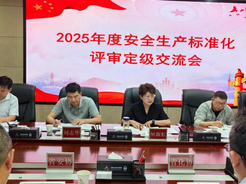 安标化会议.jpeg
